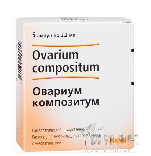 Овариум композитум (Ovarium compositum)