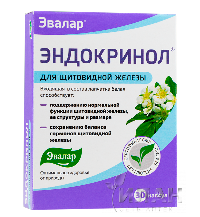 Эндокринол