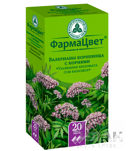 Валерианы корневища с корнями (Valerianae rhizomata cum radicibus)
