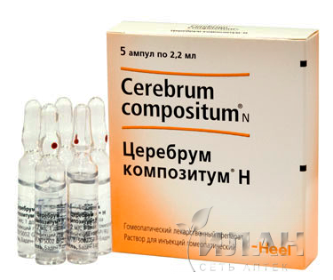 Церебрум композитум Н (Cerebrum compositum N)