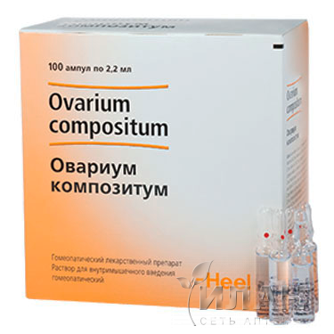Овариум композитум (Ovarium compositum)
