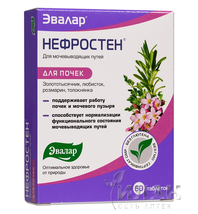 Нефростен
