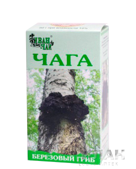 Чага (березовый гриб)