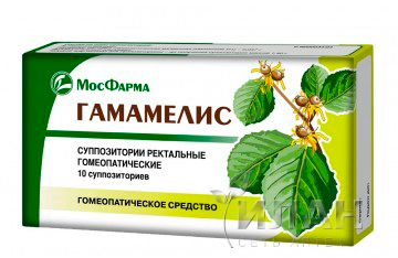 Гамамелис