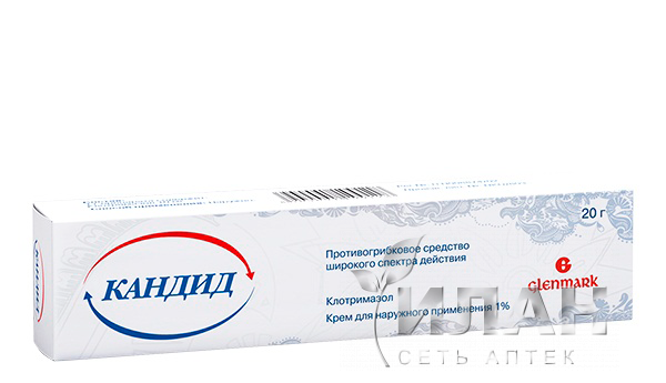 Кандид