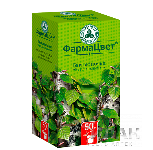 Березовые почки