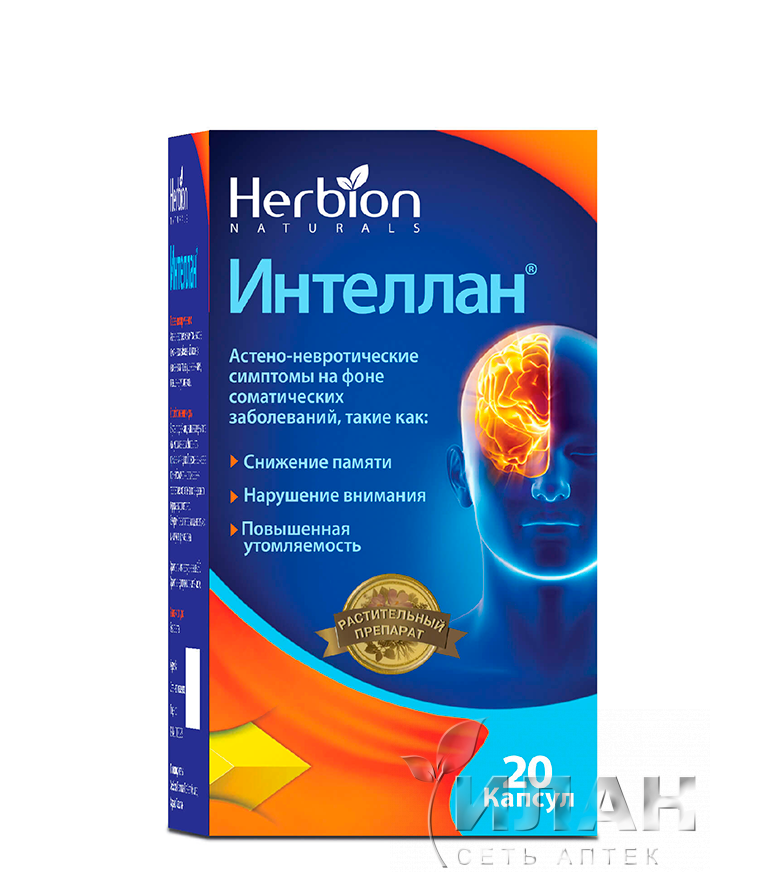 Интеллан