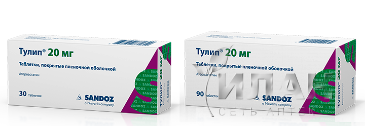 Тулип