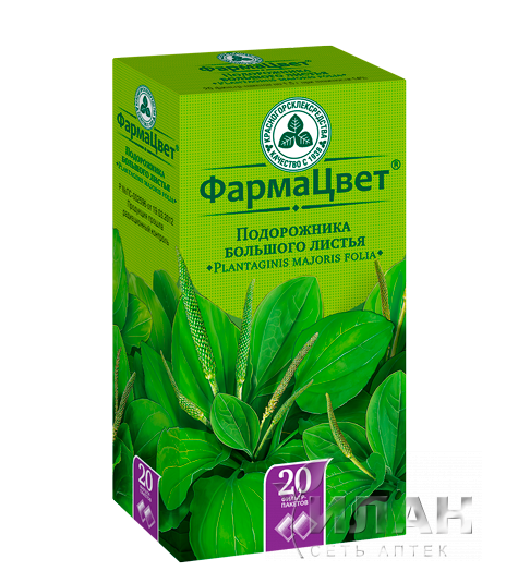 Подорожник большой листья (Plantaginis majoris folia)
