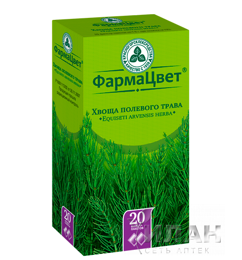 Хвощ полевой (Equisetum arvense)