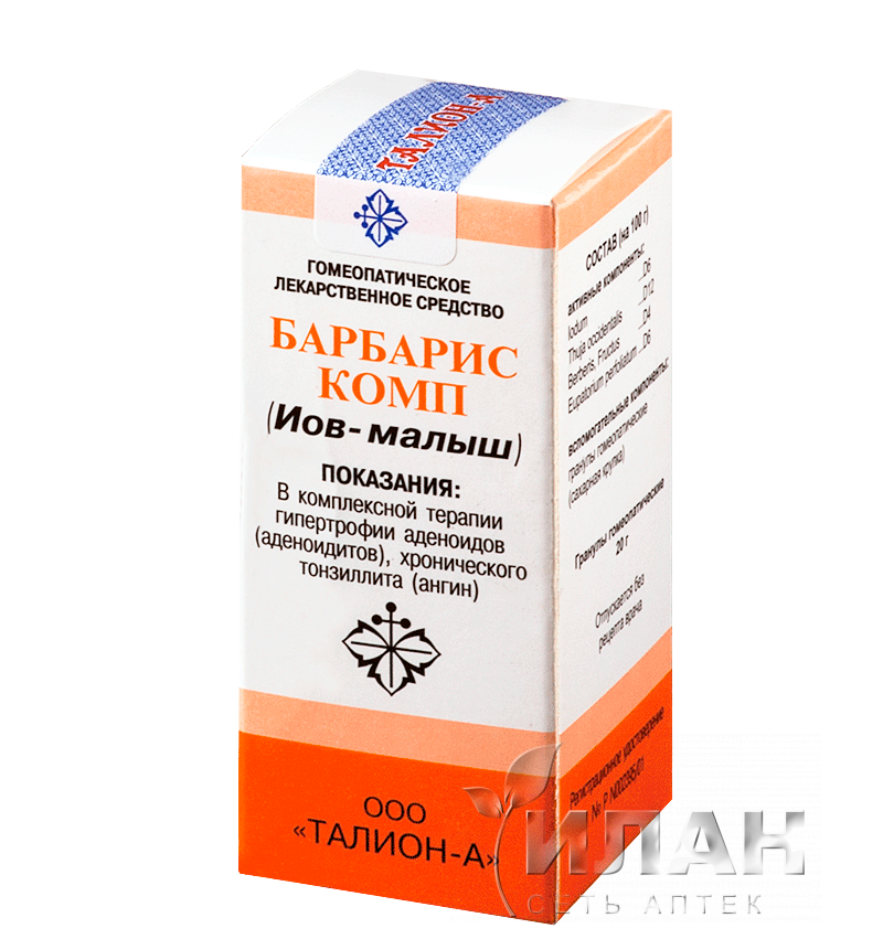 Барбарис комп Иов-малыш (Berberis comp)