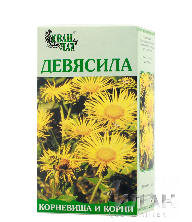 Девясил