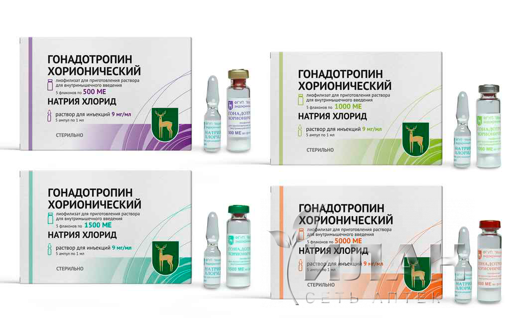 Гонадотропин хорионический (Gonadotrophin chorionic)