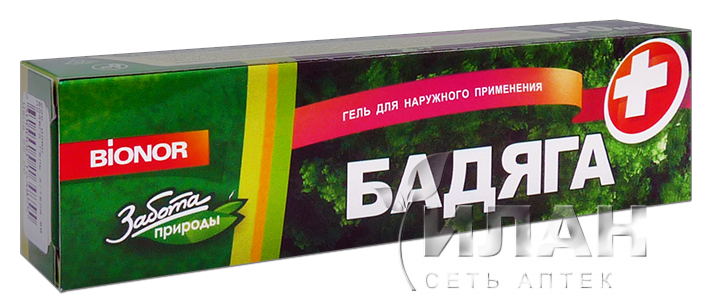 Бадяга (Spongilla)