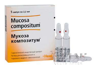 Мукоза композитум (Mucosa compositum)
