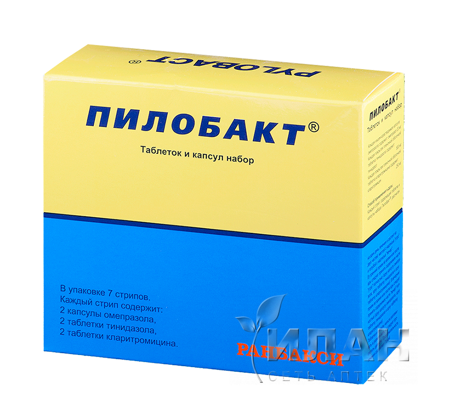 Пилобакт