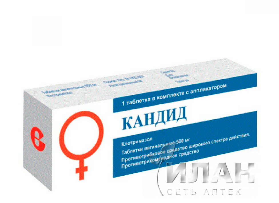 Кандид