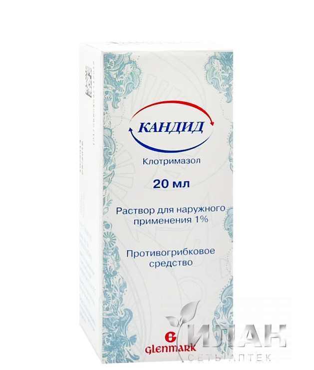 Кандид