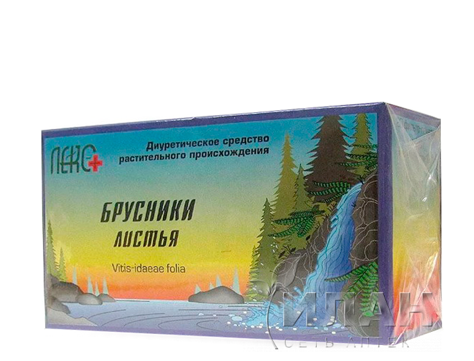 Брусника