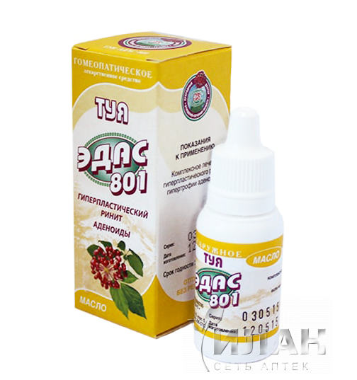 Туя Эдас-801 (Tuja Edas-801)