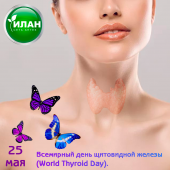 Бабочка в человеческом организме или 10 фактов о щитовидной железе. Бабочка в человеческом организме или 10 фактов о щитовидной железе.