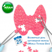 25 мая Всемирный день щитовидной железы (World Thyroid Day) 25 мая Всемирный день щитовидной железы (World Thyroid Day)