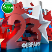 С днём защитника Отечества!