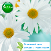 Всемирный день борьбы с туберкулезом (World Tuberculosis Day)