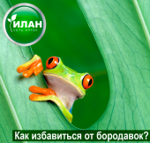 Как избавиться от бородавок?